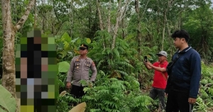 Warga Kecamatan Selakau Digegerkan Penemuan Mayat Gantung Diri di Areal Perkebunan Karet