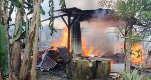 Kebakaran Kandang di Sambas, 12 Ekor Kambing Tewas Terpanggang