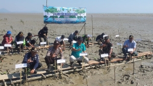 Penanaman 13.000 Bibit Mangrove di Kawasan Pesisir Pantai Desa Semelagi Besar