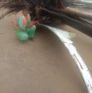 Benda Diduga Serpihan Pesawat Ditemukan di Pantai Selimpai Sambas