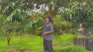 Keren, Petani di Sambas Sukses Budidaya Berbagai Jenis Durian