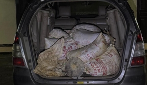 Polisi Tangkap Lagi Penambang Emas Ilegal di PT WHS 2 Sambas