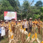 Dukung Program Ketahanan Pangan, Polsek Semparuk Sukses Panen Jagung Perdana