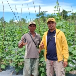 Dari Gagal Panen Hingga Sukses : Kisah Tisen Petani Hortikultura Sambas