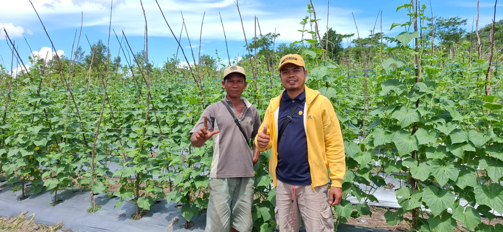 Dari Gagal Panen Hingga Sukses : Kisah Tisen Petani Hortikultura Sambas