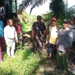 DPRD Kalbar Tak Main-main, PT SEC di Sambas Diminta Patuh atau Menghadapi Konsekuensi