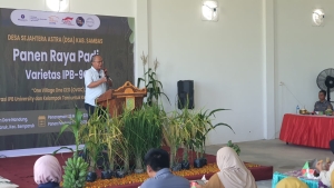 Panen Raya Padi IPB-9G, Langkah Menuju Kemandirian Pangan