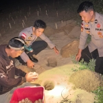 Polres Sambas Serahkan Telur Penyu Sitaan ke WWF, Dukung Perlindungan Satwa