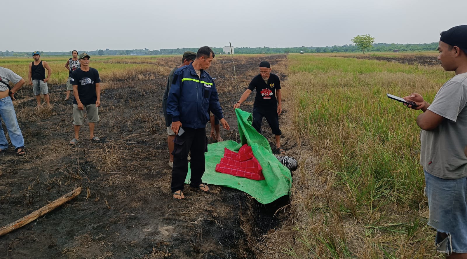 Mayat Perempuan Ditemukan di Sawah Kecamatan Tangaran, Ini Fakta-Faktanya!