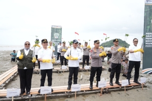 Ria Norsan Bersama Kapolri Dan Menteri Lh Tanam Mangrove Di Mempawah, Perkuat Kolaborasi Lindungi Jalur Pesisir