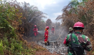 Api di Bawah Permukaan: Karhutla Dusun Mensungai Sambas Sulit Dipadamkan, 1,8 Hektar Berhasil Dilokalisir