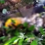 Geger Penemuan Mayat di Dusun Kedondong, Penasaran Apa Penyebabnya?