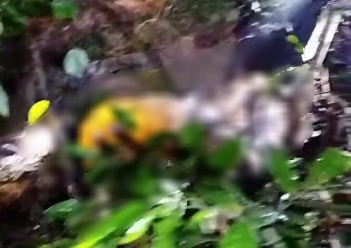Geger Penemuan Mayat di Dusun Kedondong, Penasaran Apa Penyebabnya?