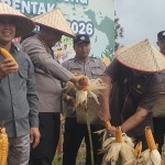 Polres Sambas Gelar Panen Raya Jagung Serentak Kuartal IV di Lahan Desa Durian