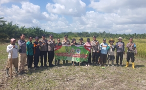 Perkuat Ketahanan Pangan, Polsek Semparuk Tanam Jagung Kuartal I Tahun 2026