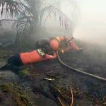 Dua Anggota MPA Rasau Jaya Umum Sesak Napas Saat Padamkan Karhutla