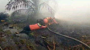 Dua Anggota MPA Rasau Jaya Umum Sesak Napas Saat Padamkan Karhutla