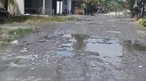 Janji Perbaikan Tak Kunjung Terwujud, Jalan di Desa Sarang Burung Danau Kian Memprihatinkan