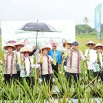 Wamentan Kunjungi Kalbar, Dorong Optimalisasi Budidaya Lidah Buaya Sebagai Penggerak Ekonomi Lokal