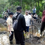 Kasus Perambahan Mangrove di Desa Sebubus Belum Temui Titik Terang