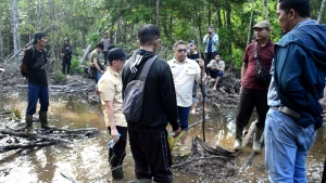 Kasus Perambahan Mangrove di Desa Sebubus Belum Temui Titik Terang