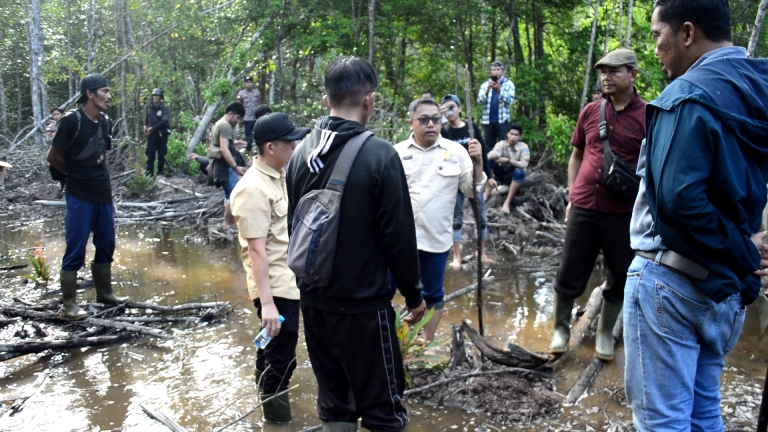 Kasus Perambahan Mangrove di Desa Sebubus Belum Temui Titik Terang