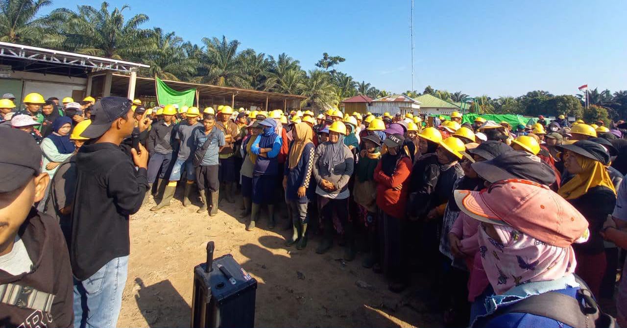 Ratusan Karyawan PT PANP dan PT SAM Mogok Kerja, Perusahaan Berlakukan ‘No Work, No Pay’