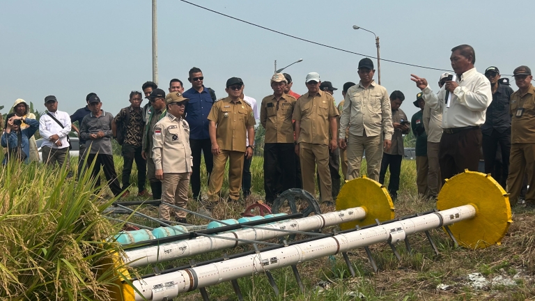 Inovasi Poktan Dare Nandung Semparuk Berbuah Manis, Produktivitas Padi Naik Drastis