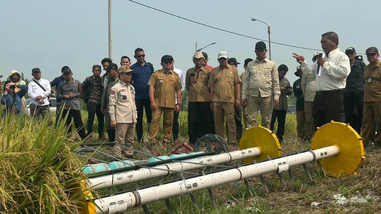 Produktivitas Padi Naik Lebih dari Dua Kali Lipat, Petani Sambas Buktikan Efektivitas Teknologi Modern